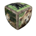 Wild Animals.png