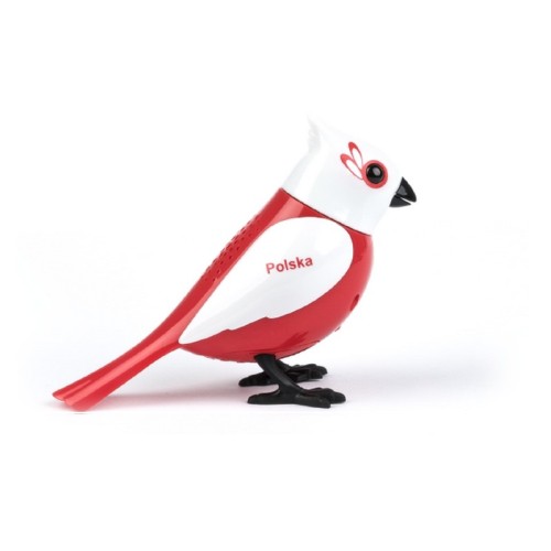 DigiBirds - Polek 2.jpg