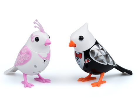 Digibirds - 88388 - Zestaw MŁODA PARA 1.png